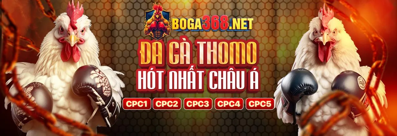 Tham gia VZ99 nhận hoàn trả