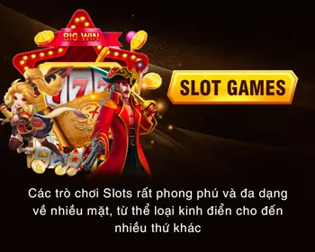 Chương trình VIP độc quyền VZ99