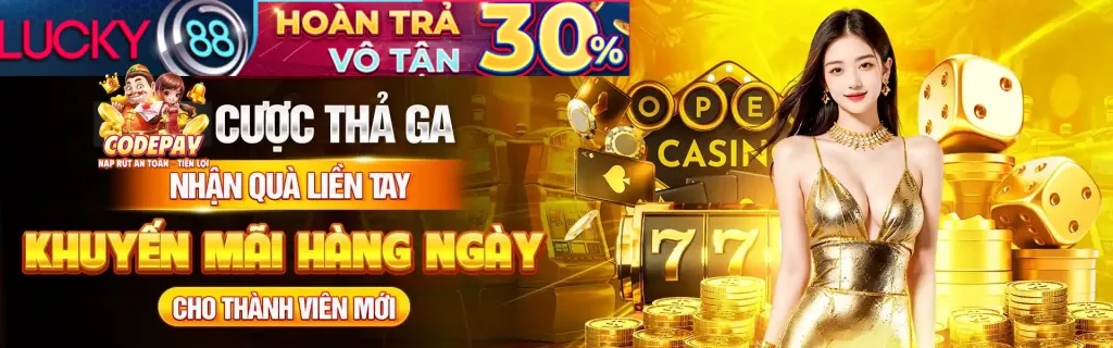 Biện pháp bảo mật dữ liệu cookie của VZ99